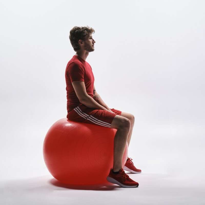 spinalis sitting on a ball